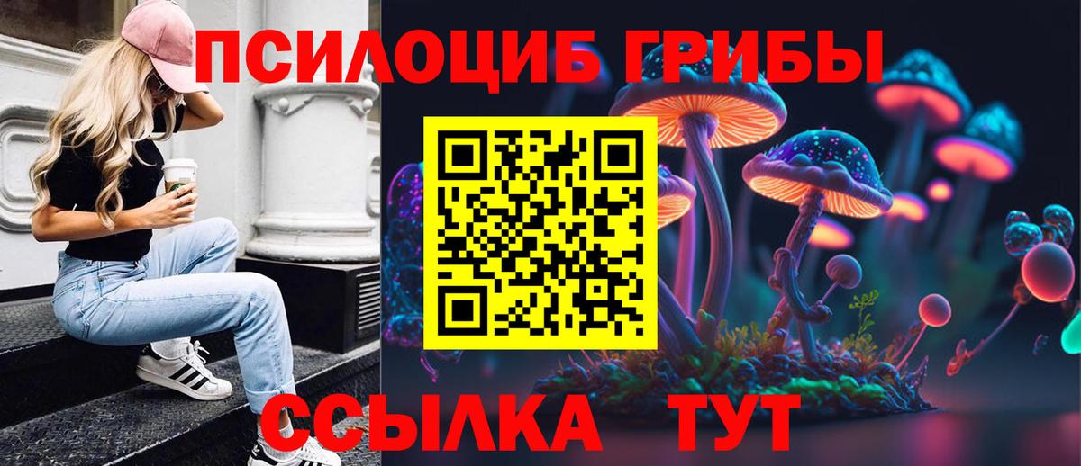 Псилоцибиновые грибы Magic Shrooms Знаменск